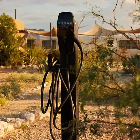 Desert Pearl ⁠— Quick Drive From Big Bend Terlingua Exterior photo